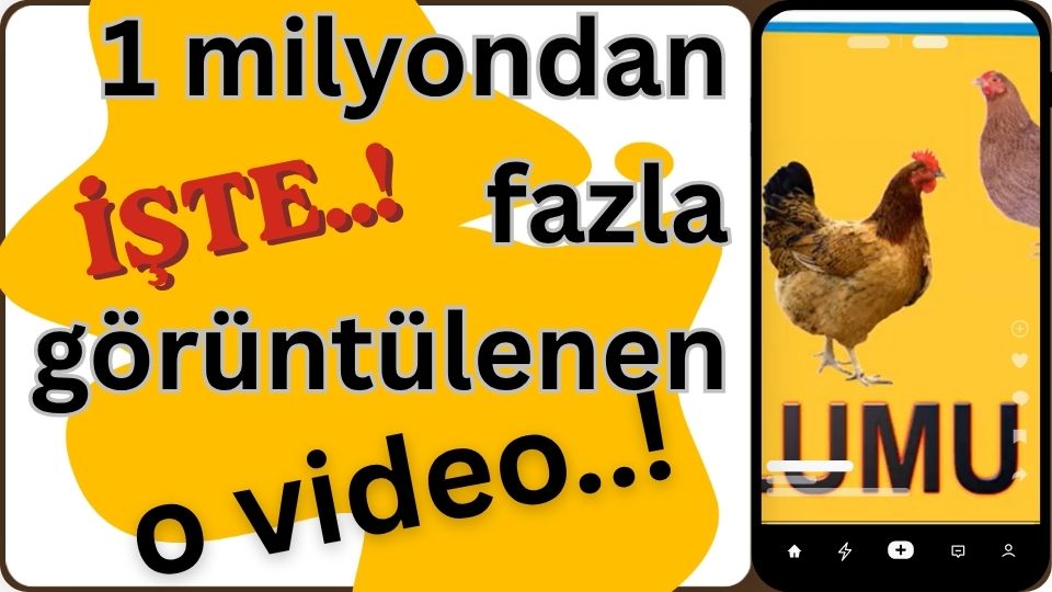 rekor video