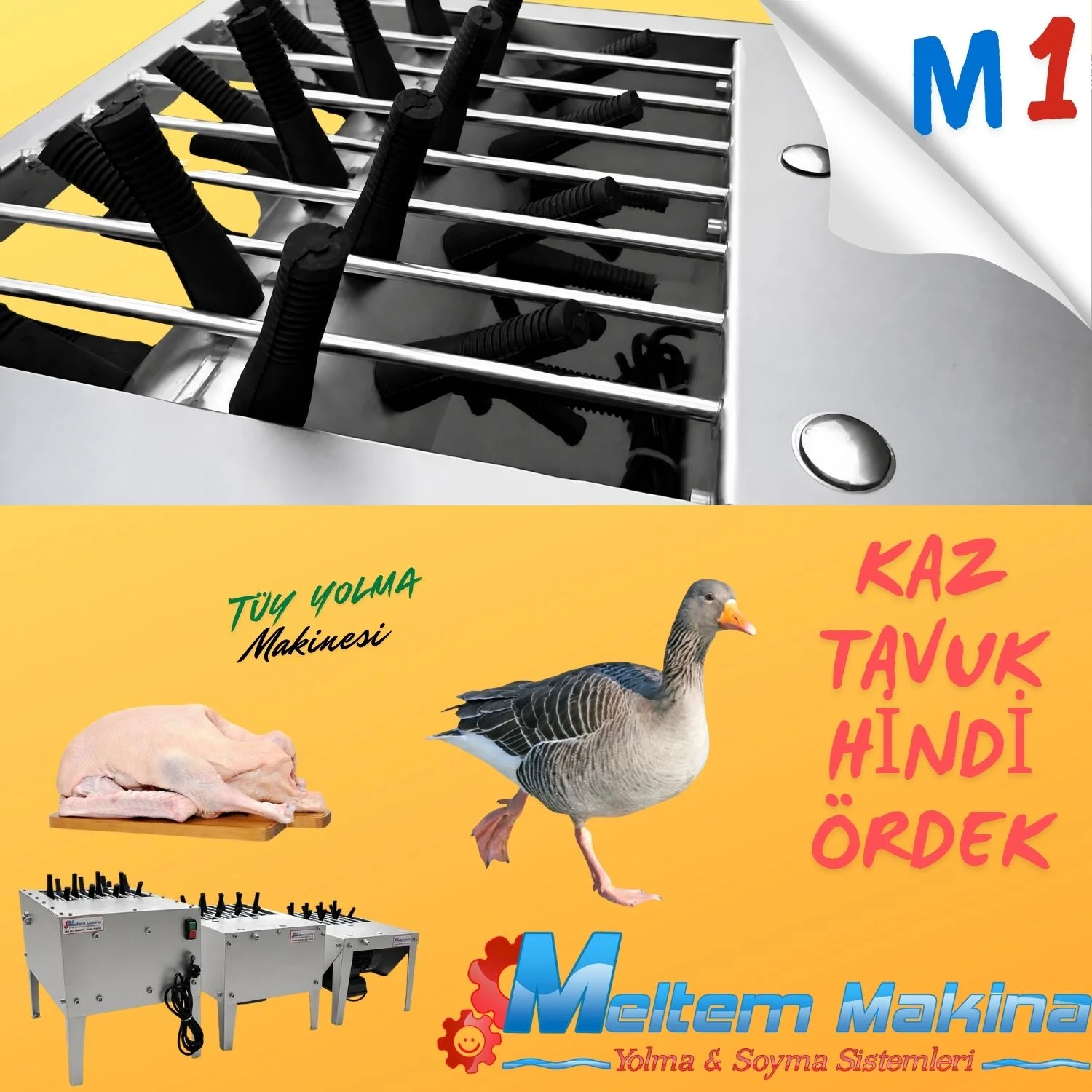 m1_kaz_tuyu_yolma_makinesi_meltem_6