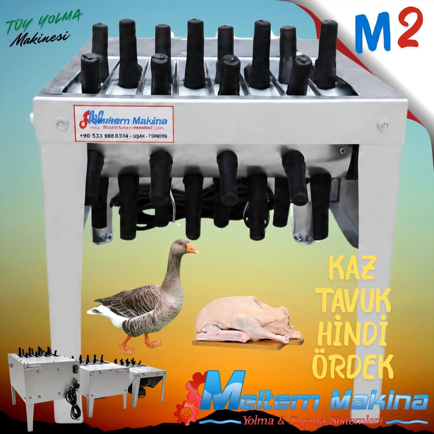 m2_kaz_tuyu_yolma_makinesi_meltem_5