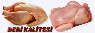 sulu yolum tavuk deri kalitesi